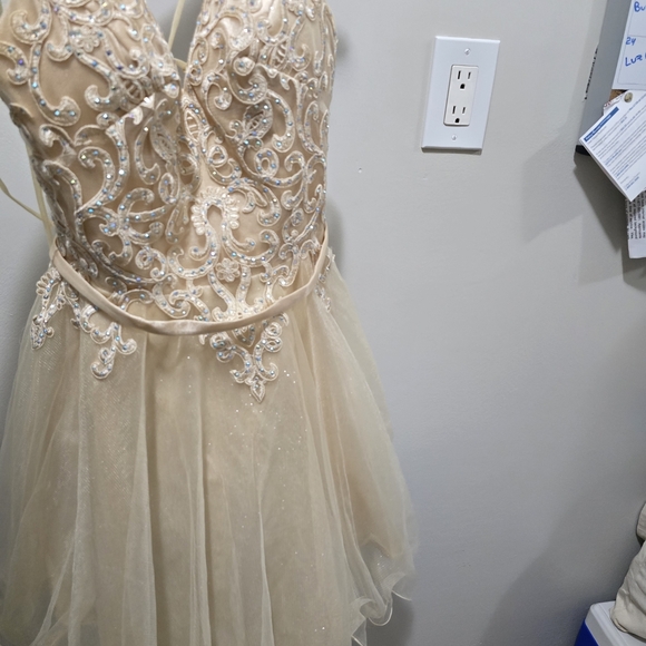 Chic Beige Embellished Gown - Picture 2 of 11